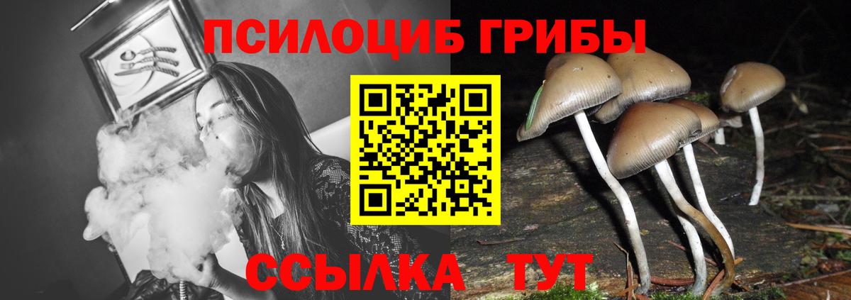 Гулькевичи  Галлюциногенные грибы GOLDEN TEACHER  Вход с VPN 